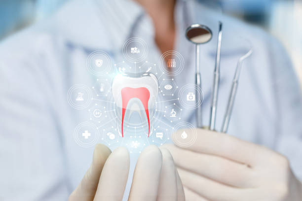 Best Traditional Braces  in Renton, WA